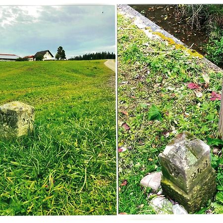 Uebernachtungsmoeglichkeit In Maierhoefen Grunenbach Esterno foto